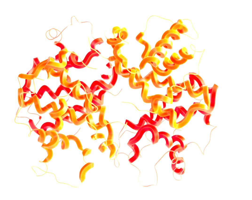 Proteine